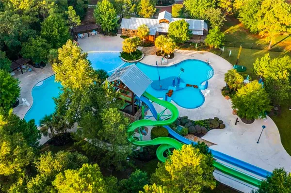 a picture of flowers