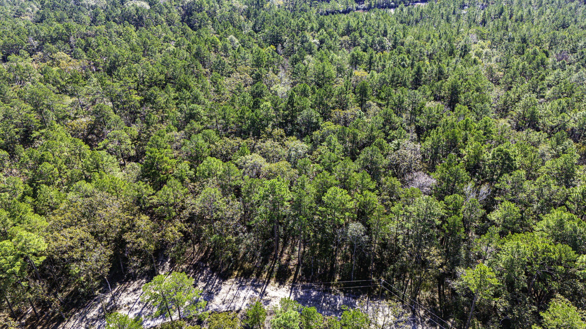 17 Magnolia Ranch Road Onalaska, TX 77360 - Photo 12 of 14