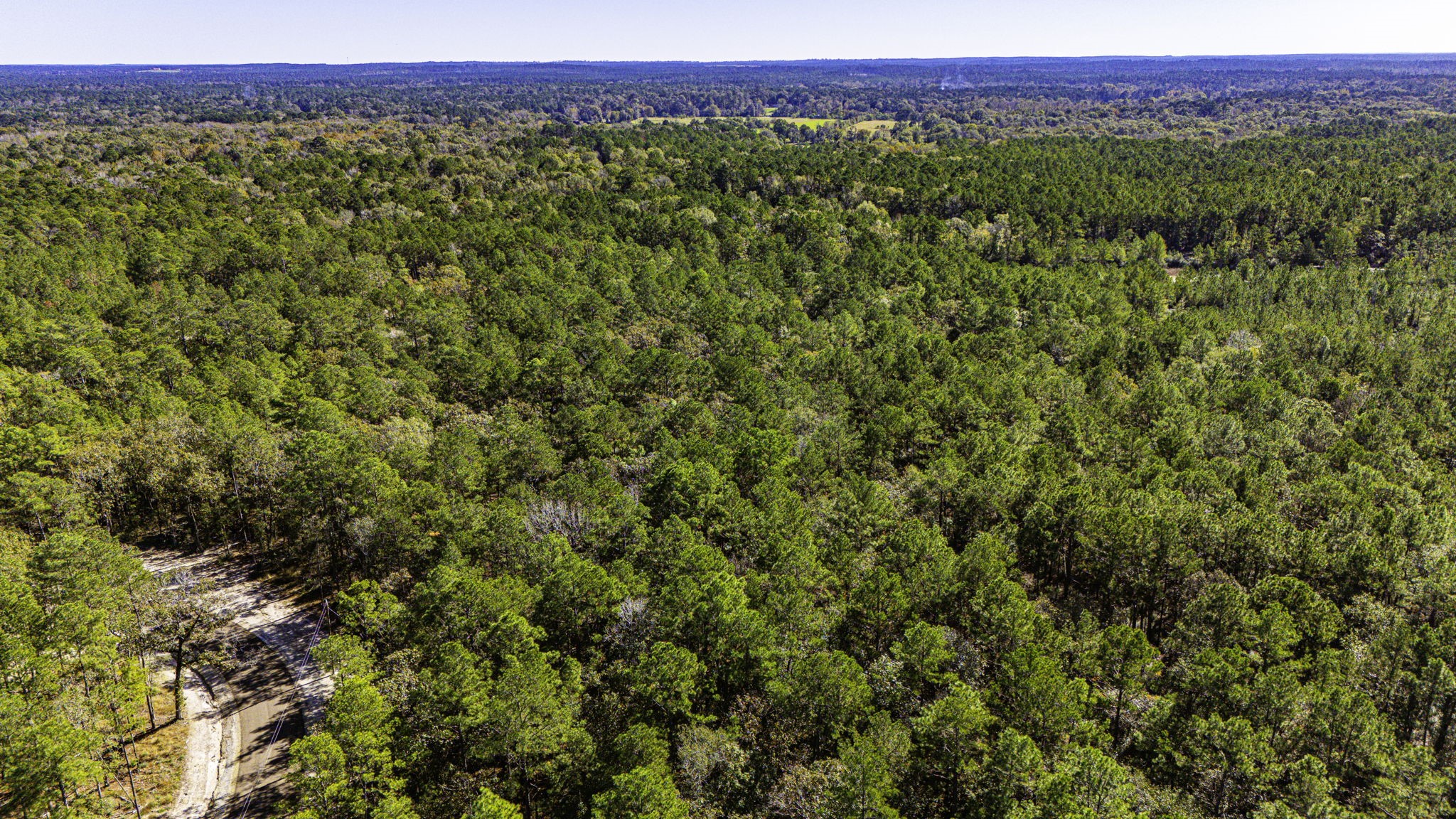 17 Magnolia Ranch Road Onalaska, TX 77360 - Photo 13 of 14