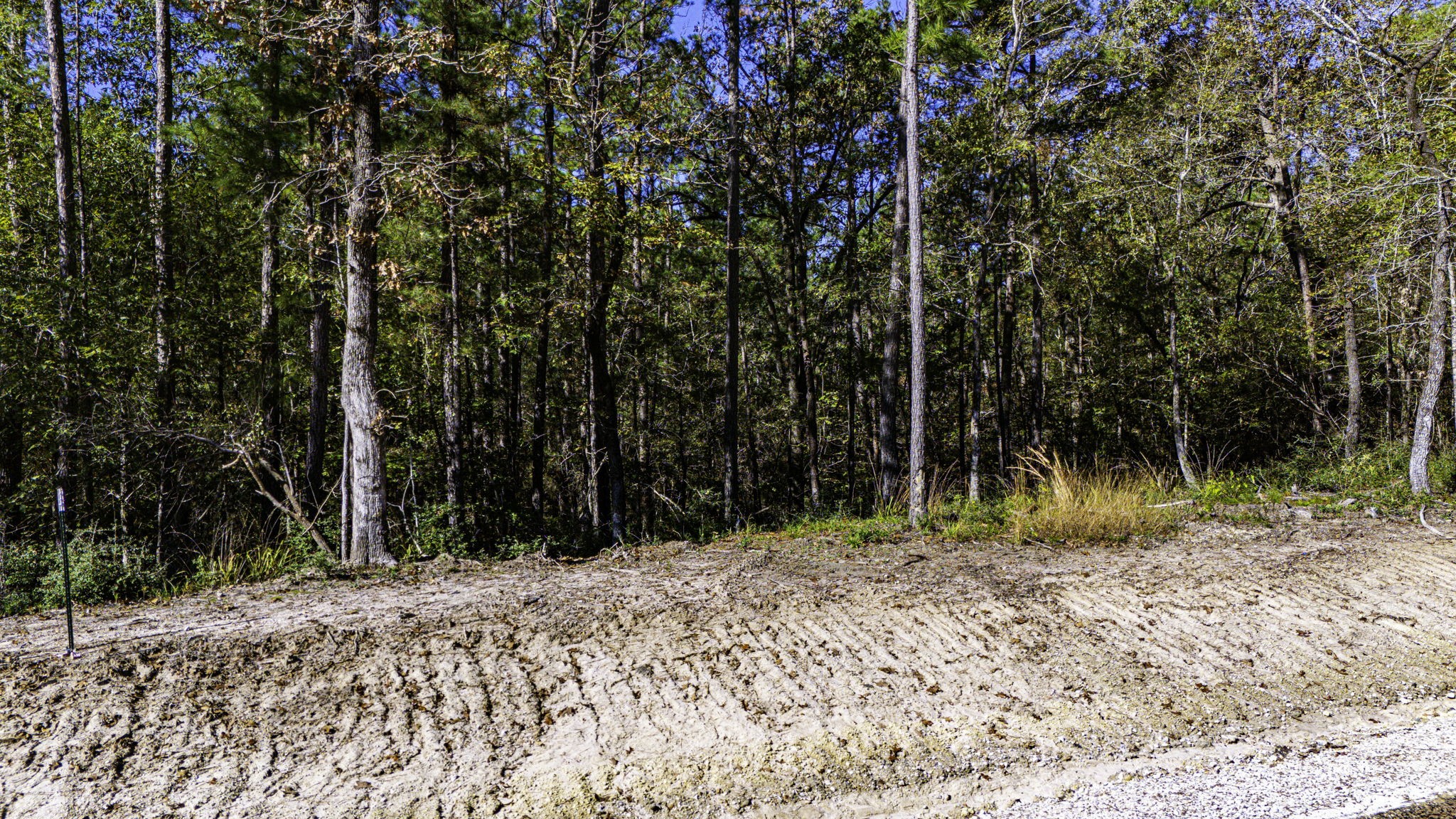 17 Magnolia Ranch Road Onalaska, TX 77360 - Photo 5 of 14