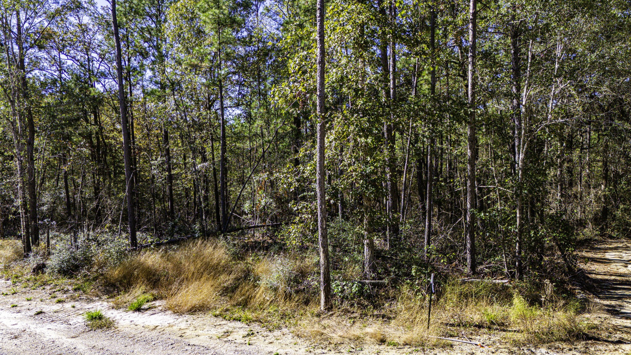 17 Magnolia Ranch Road Onalaska, TX 77360 - Photo 6 of 14