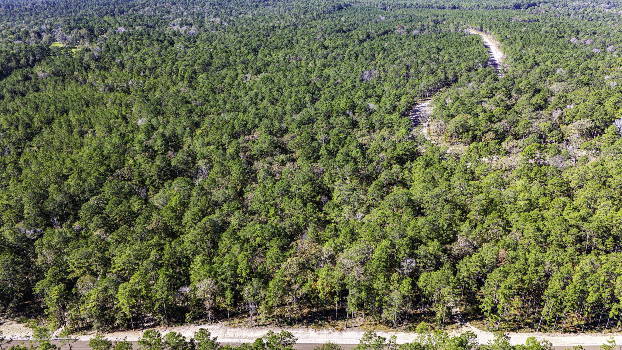 17 Magnolia Ranch Road Onalaska, TX 77360 - Photo 7 of 14