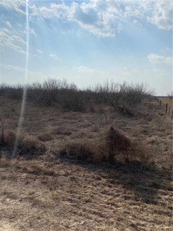 0 Cr 218 Road Falfurrias, TX 78355 - Photo 7 of 11