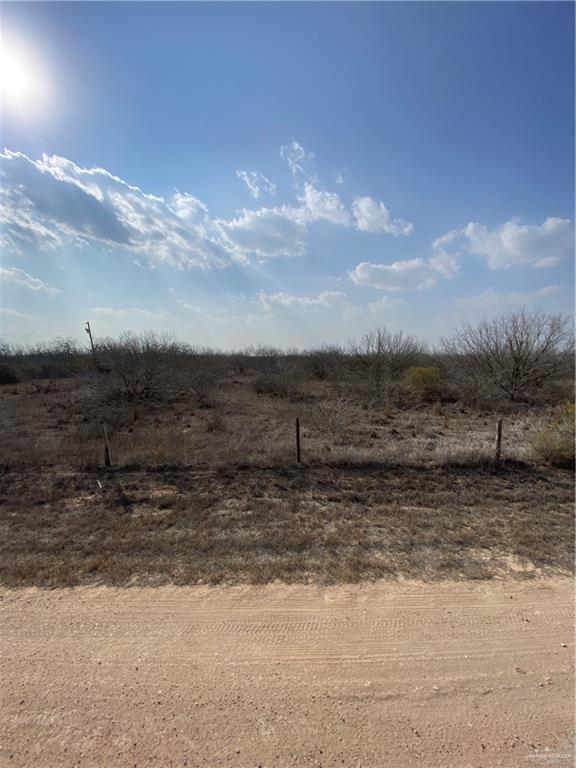 0 Cr 218 Road Falfurrias, TX 78355 - Photo 8 of 11