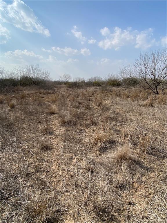 0 Cr 218 Road Falfurrias, TX 78355 - Photo 9 of 11