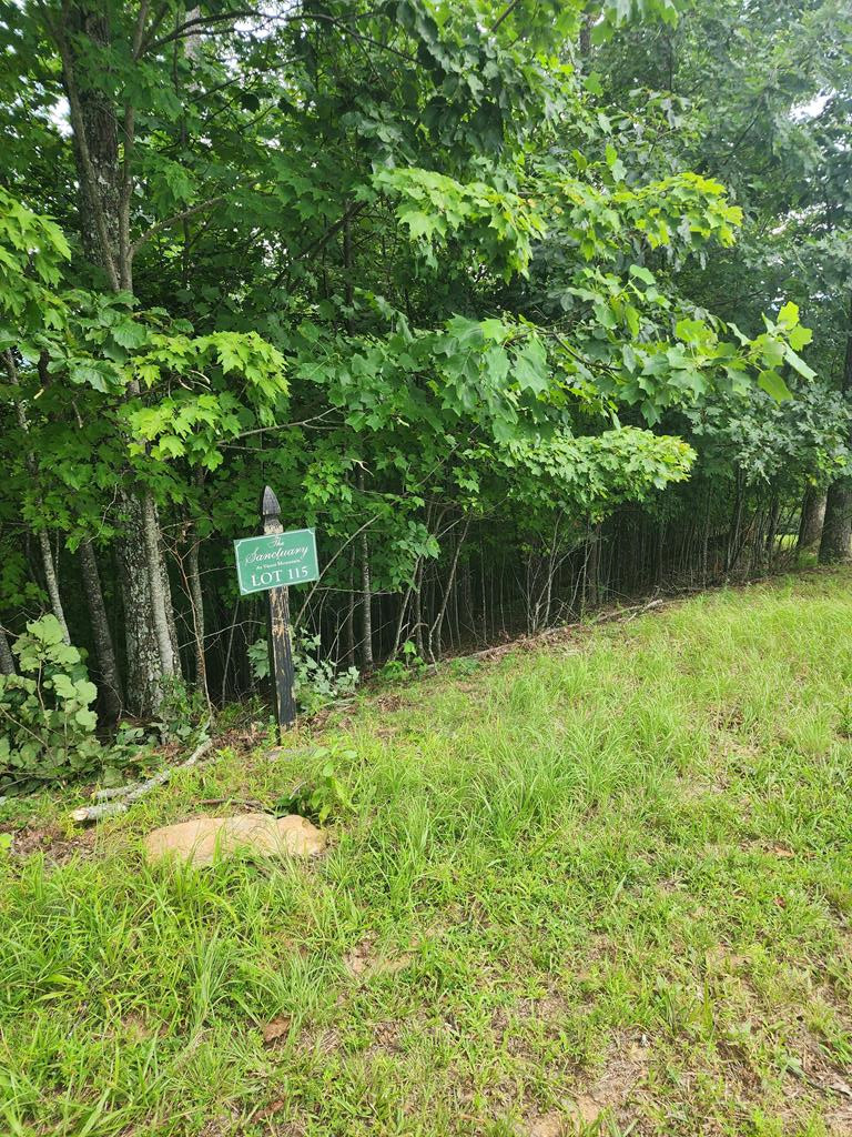 0 Vance Mountain Road Murphy, NC 28906 - Photo 1 of 15 Main View