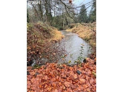 Madrone Street Springfield, OR 97478 - Photo 13 of 26 Gallery Image 13
