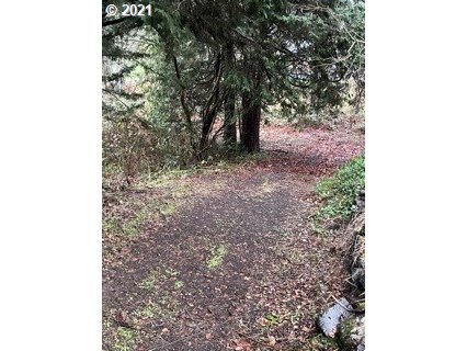 Madrone Street Springfield, OR 97478 - Photo 17 of 26 Gallery Image 17