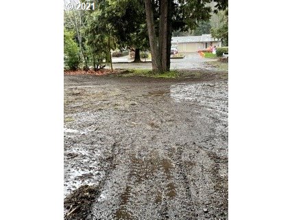 Madrone Street Springfield, OR 97478 - Photo 20 of 26 Gallery Image 20