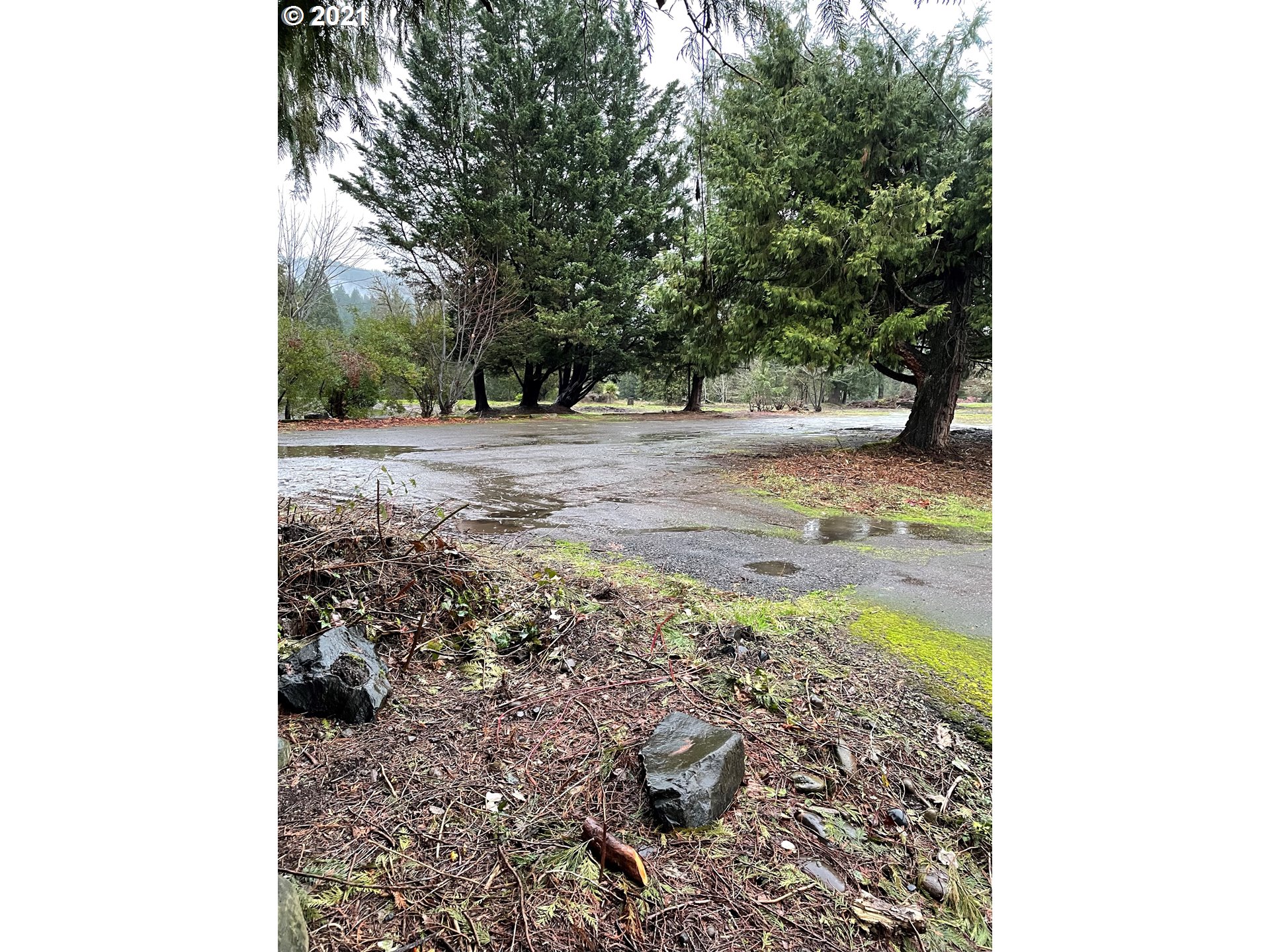 Madrone Street Springfield, OR 97478 - Photo 3 of 26 Gallery Image 3