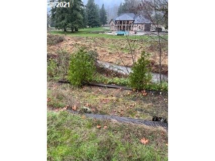 Madrone Street Springfield, OR 97478 - Photo 22 of 26 Gallery Image 22