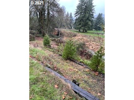 Madrone Street Springfield, OR 97478 - Photo 23 of 26 Gallery Image 23