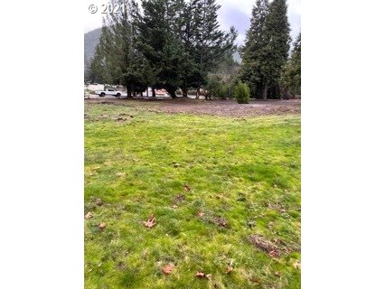 Madrone Street Springfield, OR 97478 - Photo 26 of 26 Gallery Image 26