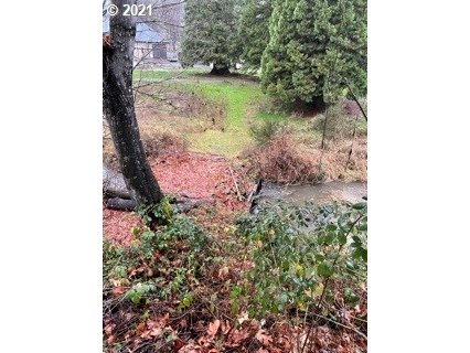 Madrone Street Springfield, OR 97478 - Photo 9 of 26 Gallery Image 9