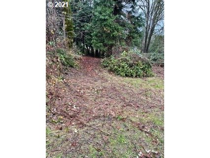Madrone Street Springfield, OR 97478 - Photo 10 of 26 Gallery Image 10