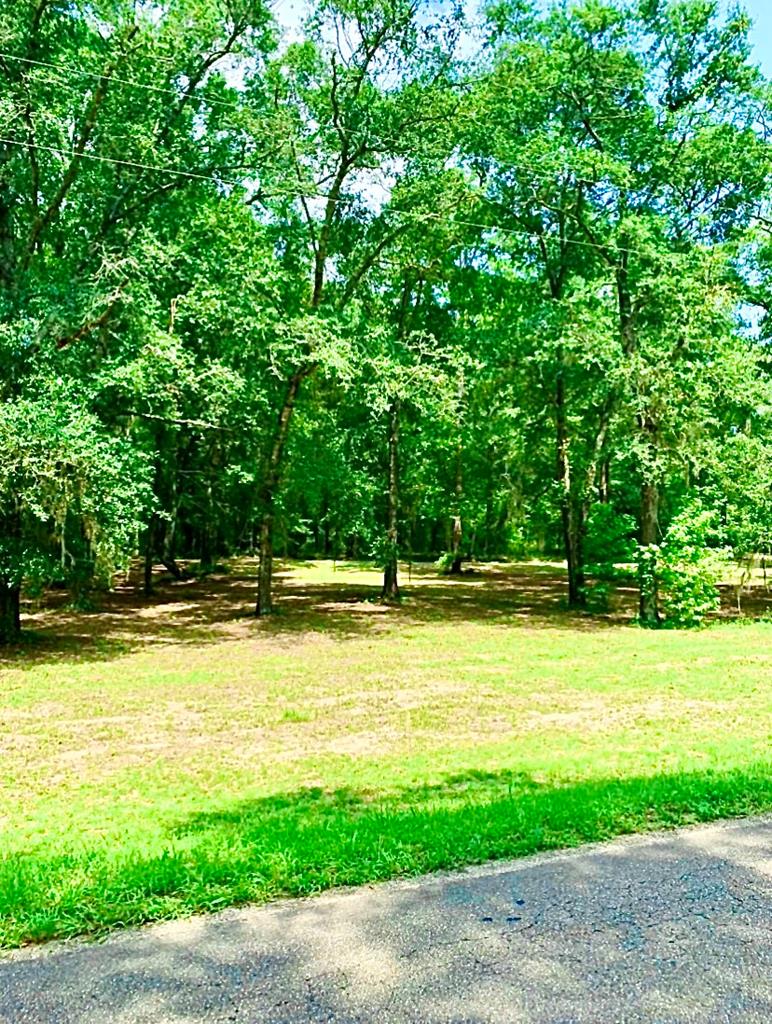 0 County Road 53 Abbeville, AL 36310 - Photo 1 of 10
