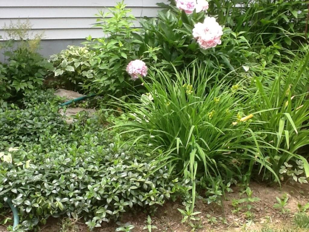 10 Randall Road Winslow, ME 04901 - Photo 21 of 21 Photo
