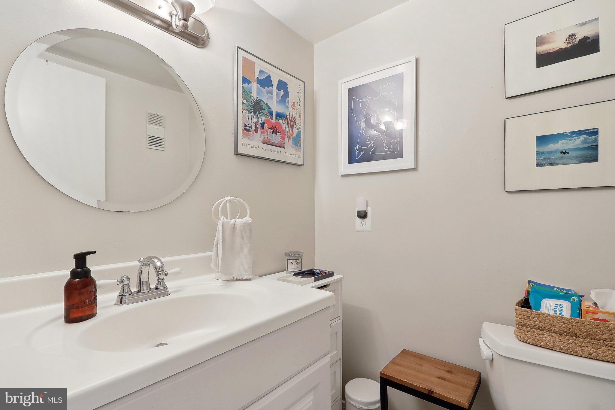 2031 Approach Lane Reston, VA 20191 - Photo 27 of 58 Charming bathroom with artistic flair.