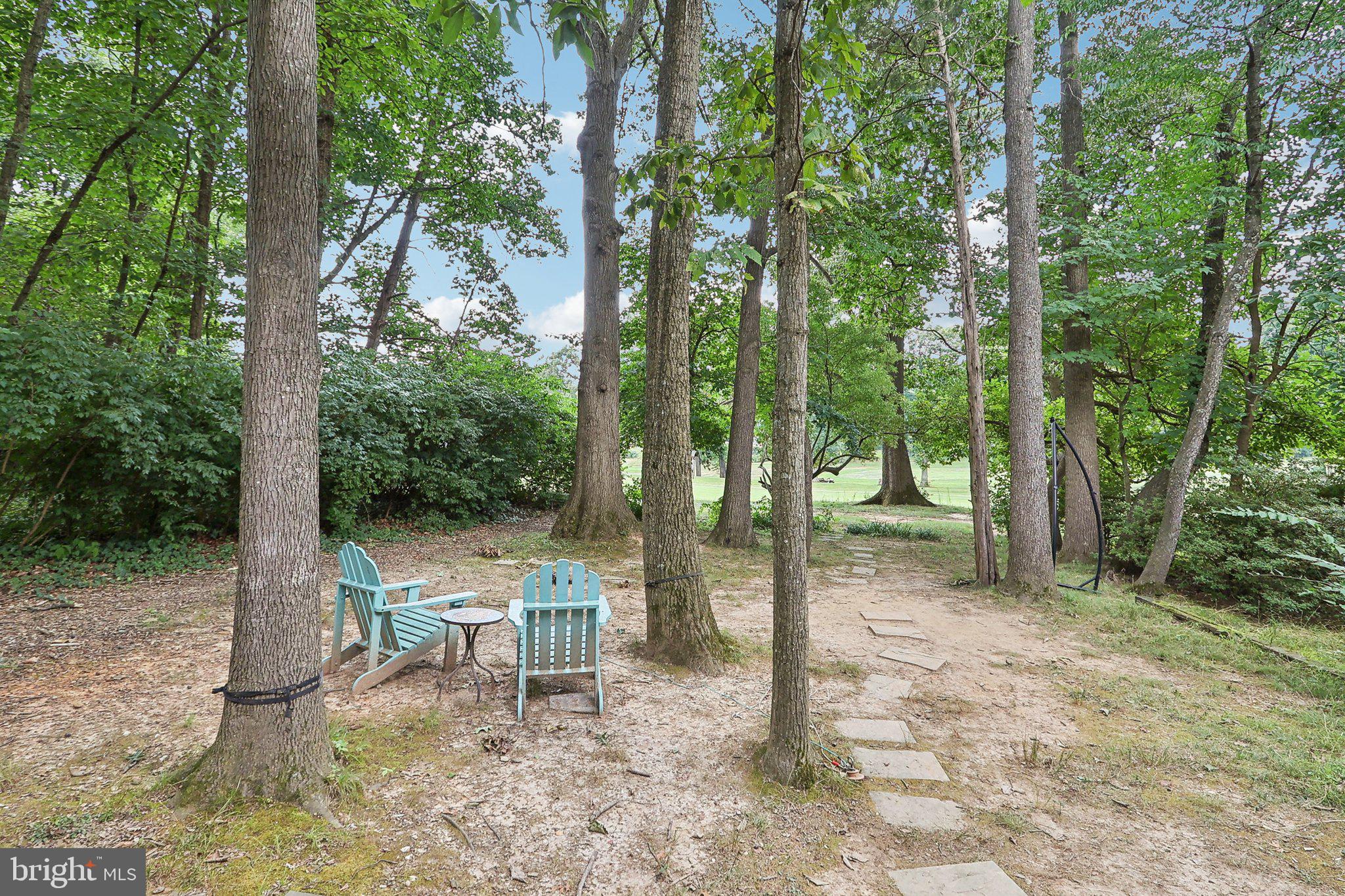2031 Approach Lane Reston, VA 20191 - Photo 50 of 58 Serene woodland retreat awaits you.