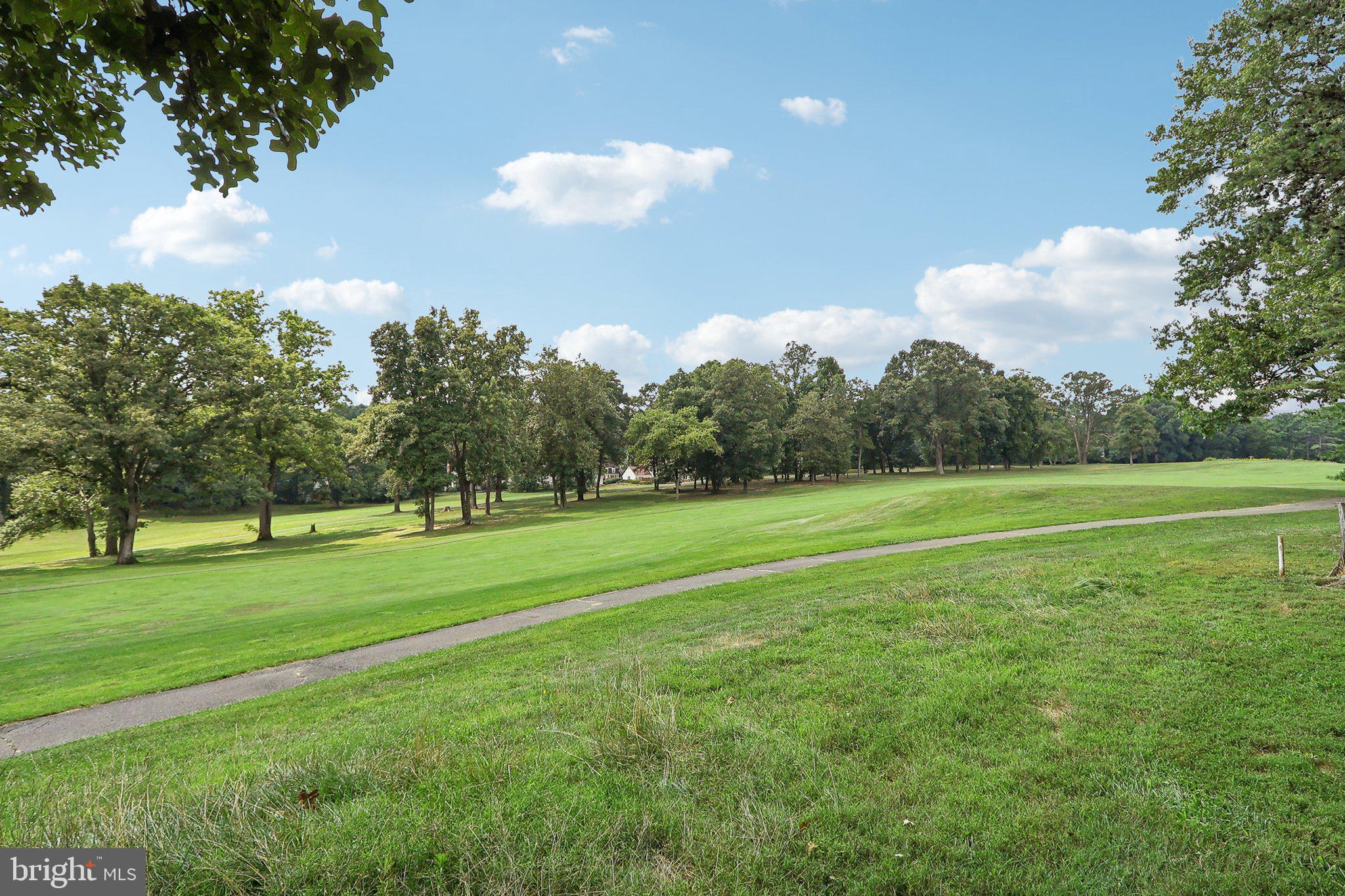 2031 Approach Lane Reston, VA 20191 - Photo 53 of 58 Lush green landscape under blue skies.