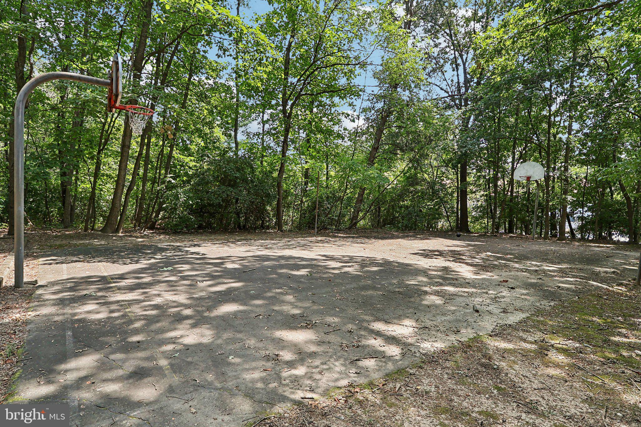 2031 Approach Lane Reston, VA 20191 - Photo 56 of 58 Secluded court amidst nature's embrace.