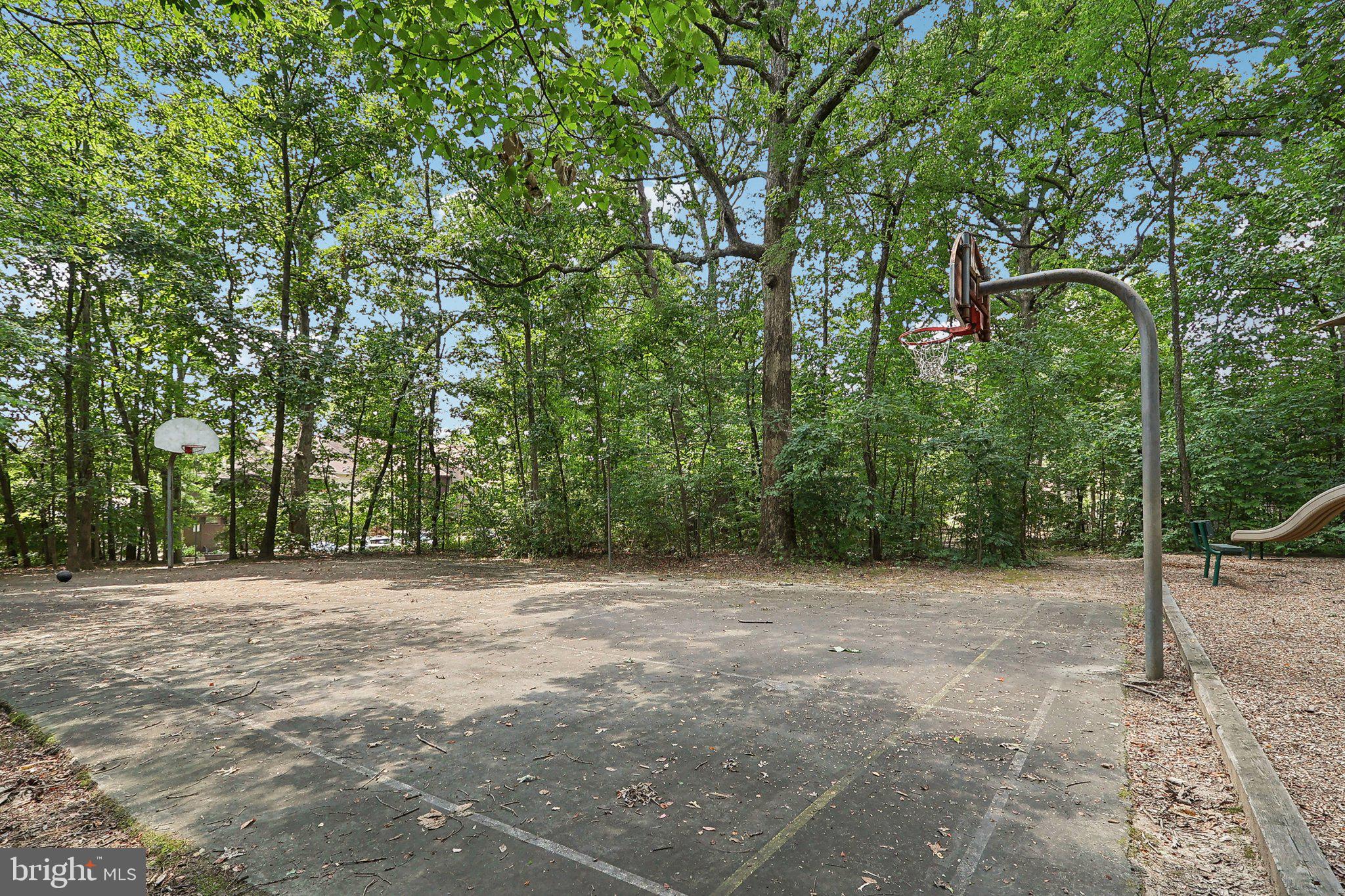 2031 Approach Lane Reston, VA 20191 - Photo 57 of 58 Secluded basketball court in nature.
