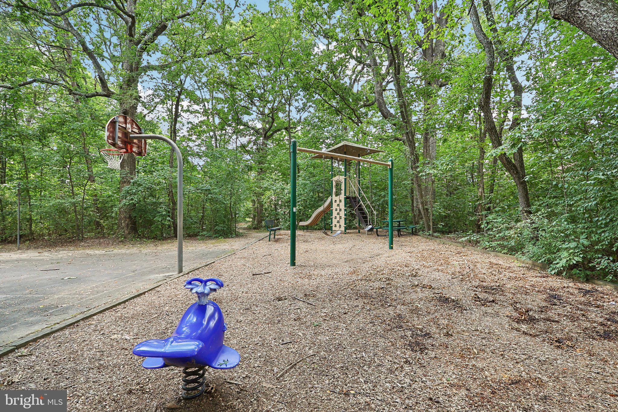 2031 Approach Lane Reston, VA 20191 - Photo 58 of 58 Nature's Playground Retreat