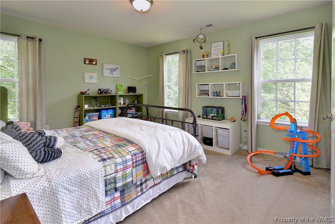 10147 Line Fence Road Hayes, VA 23072 - Photo 40 of 50 Gallery Image 40