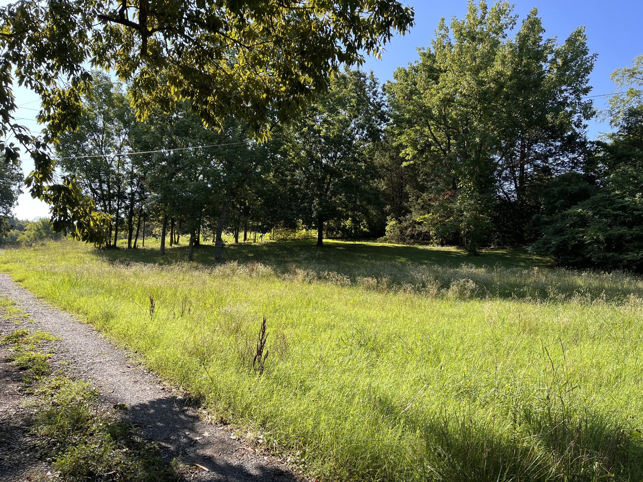 6113 Corinth Road Mount Juliet, TN 37122 - Photo 7 of 8 Gallery Image 7