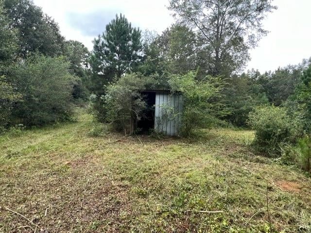 28927 Pine Oak Road Opp, AL 36467 - Photo 19 of 25 Gallery Image 19