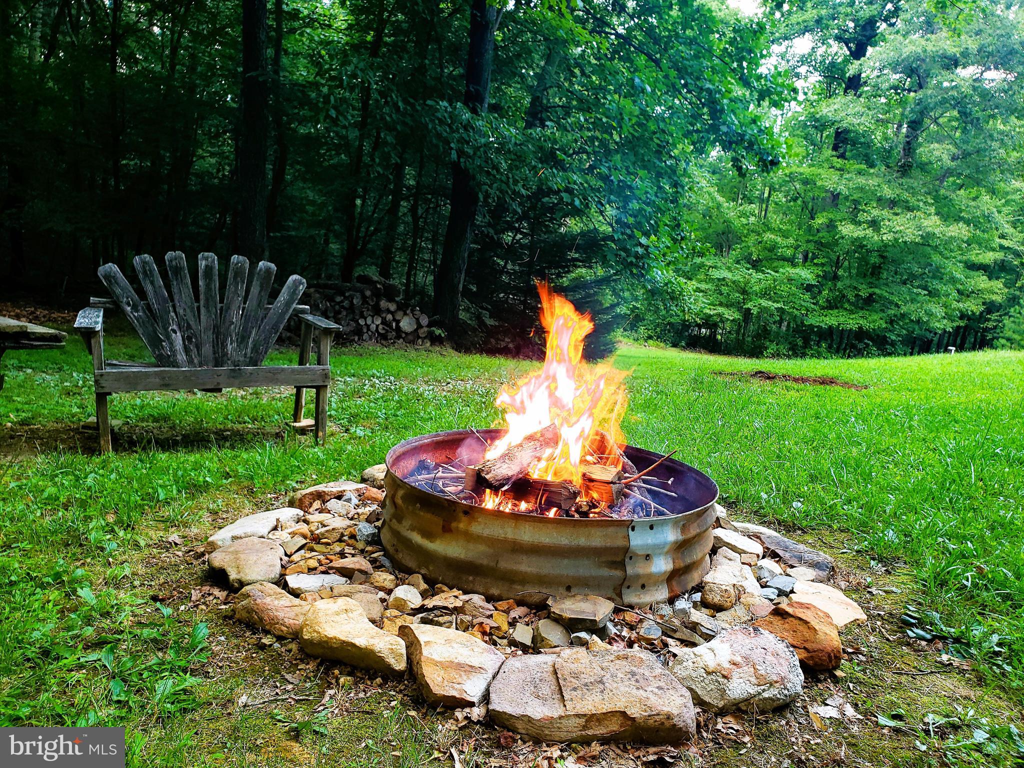 642 Paddys Run Road Star Tannery, VA 22654 - Photo 78 of 79