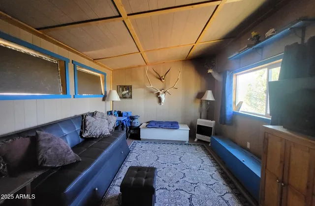 a living room with furniture and a rug