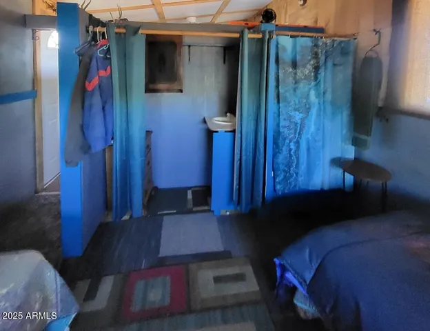 a bed room with a bed and a closet