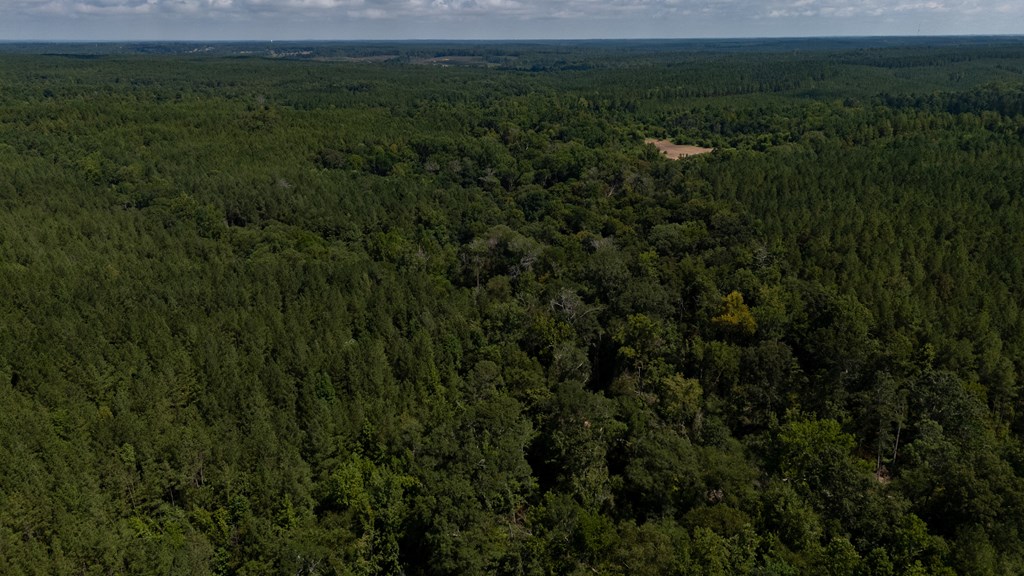 0 Highway 221 S Waterloo Sc 29384 Waterloo, SC 29384 - Photo 10 of 14