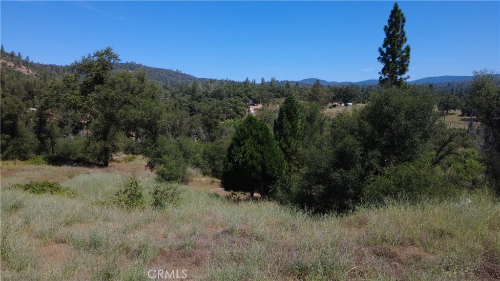 390 Darby Road Bangor, CA 95914 - Photo 2 of 20