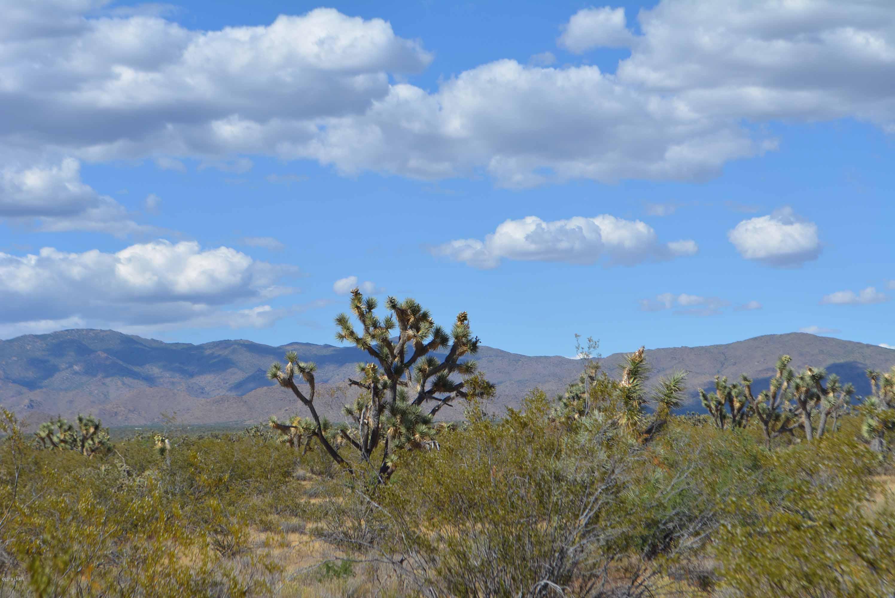Lot 248 South Gold Mine Road Yucca, AZ 86438 - Photo 17 of 24 DSC_0018