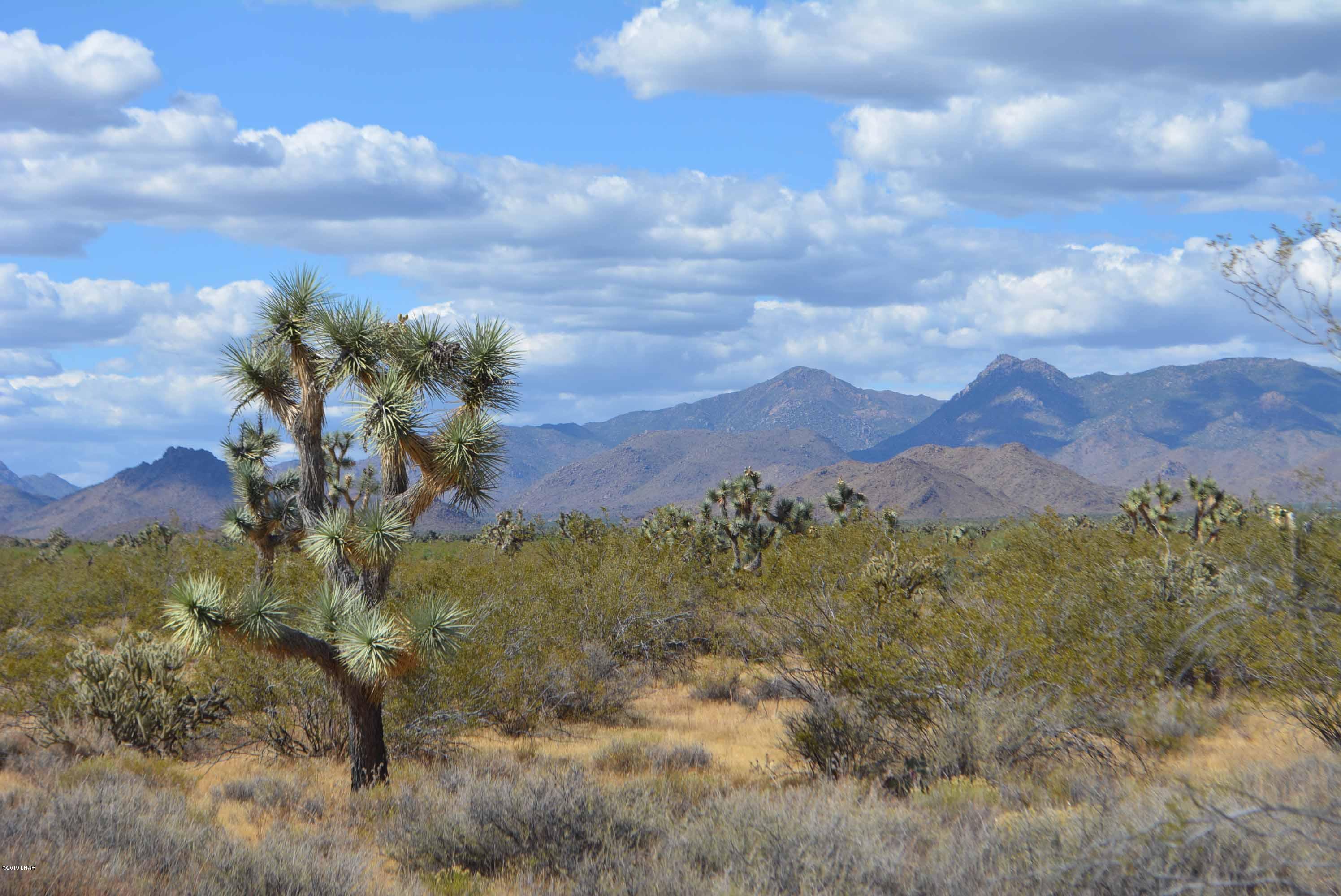 Lot 248 South Gold Mine Road Yucca, AZ 86438 - Photo 18 of 24 DSC_0019