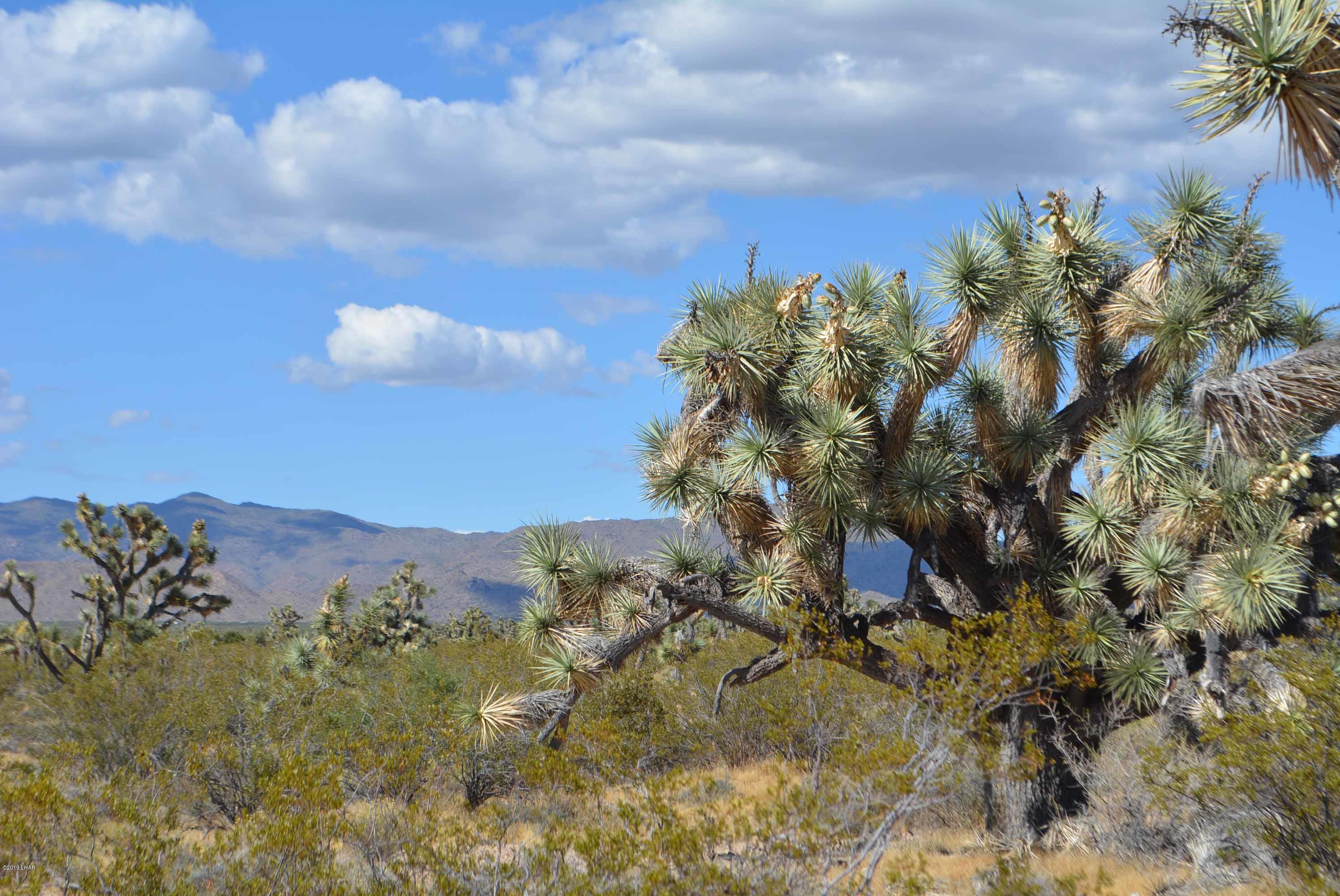 Lot 248 South Gold Mine Road Yucca, AZ 86438 - Photo 23 of 24 DSC_0024