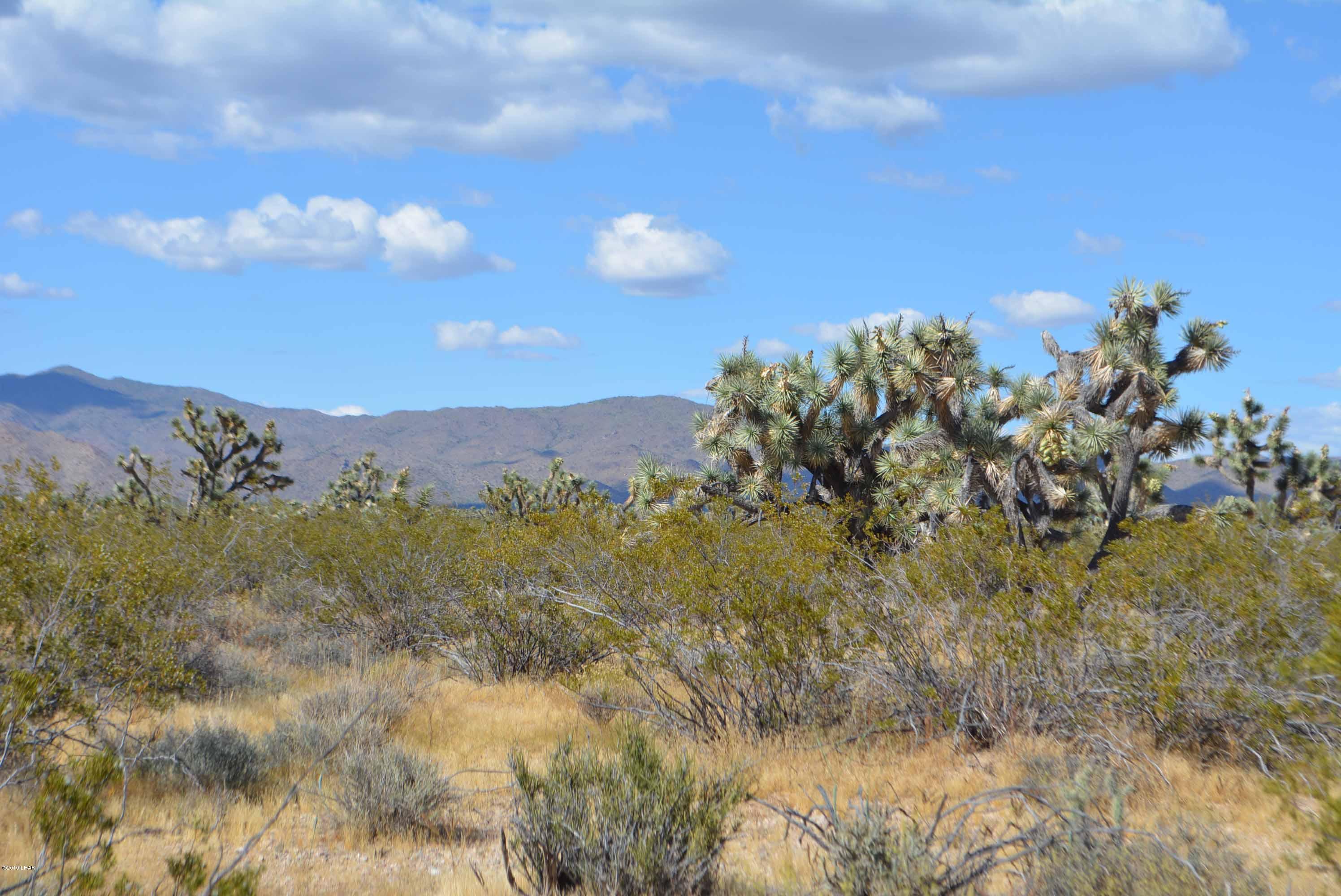 Lot 248 South Gold Mine Road Yucca, AZ 86438 - Photo 3 of 24 DSC_0004