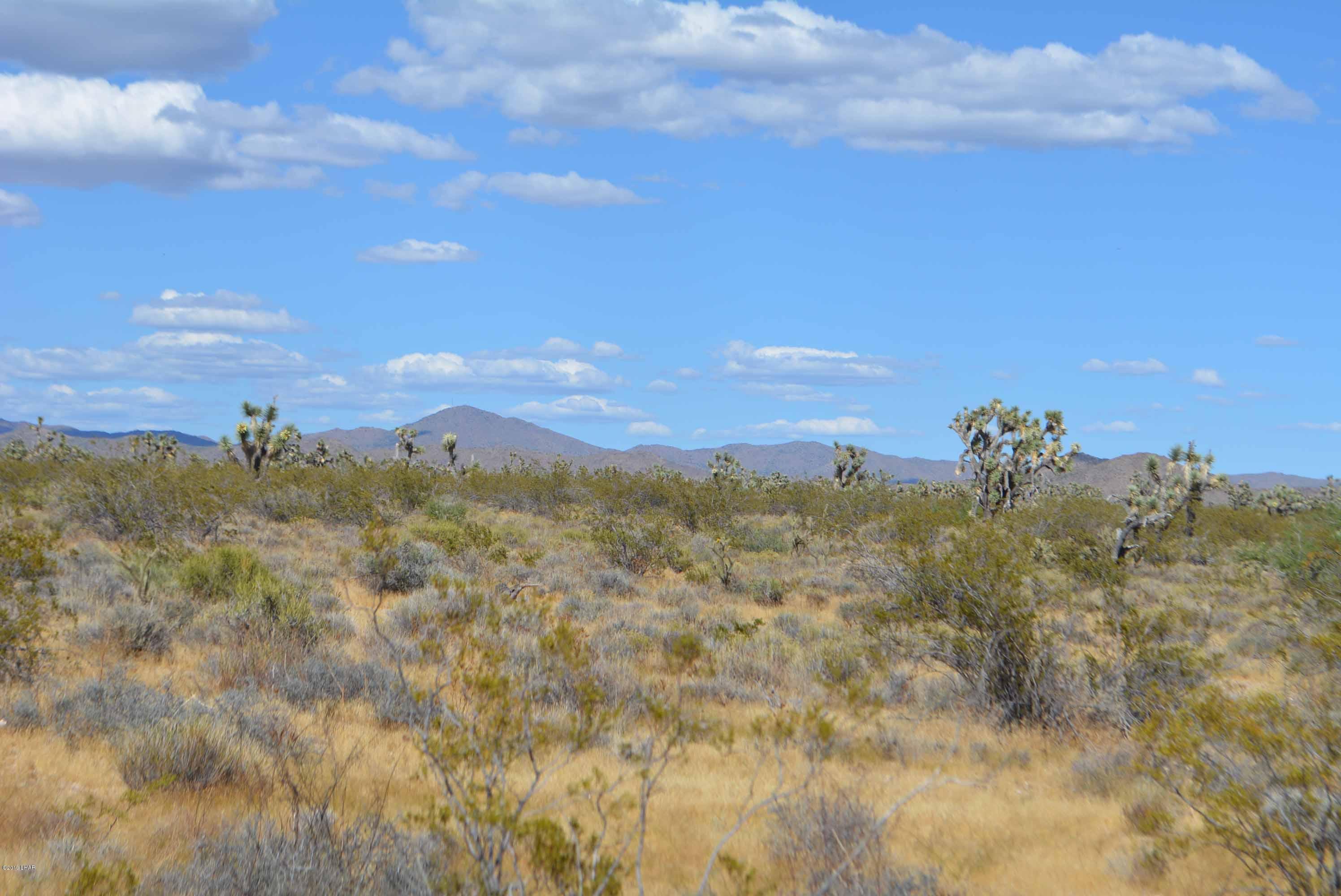 Lot 248 South Gold Mine Road Yucca, AZ 86438 - Photo 5 of 24 DSC_0006