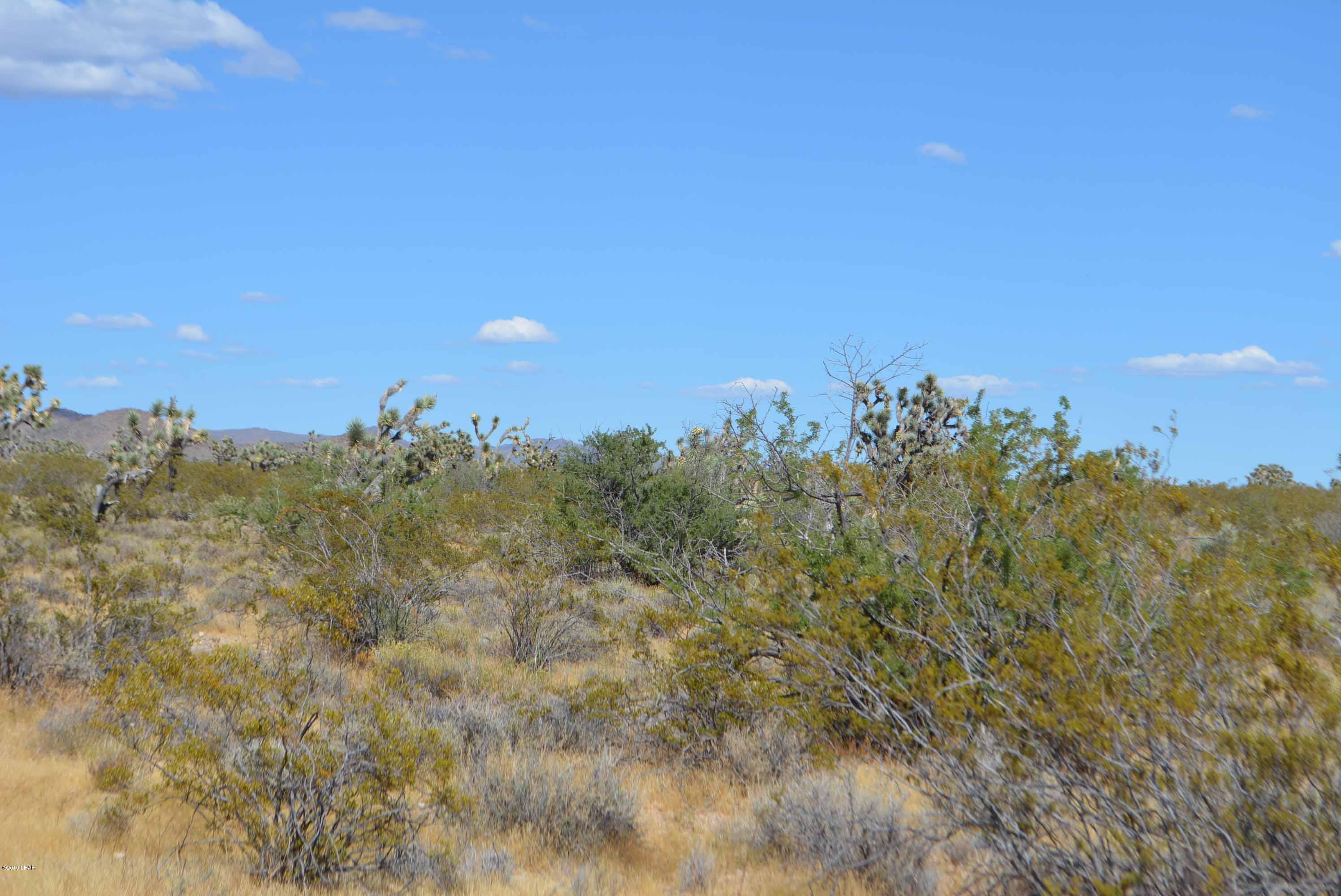 Lot 248 South Gold Mine Road Yucca, AZ 86438 - Photo 6 of 24 DSC_0007