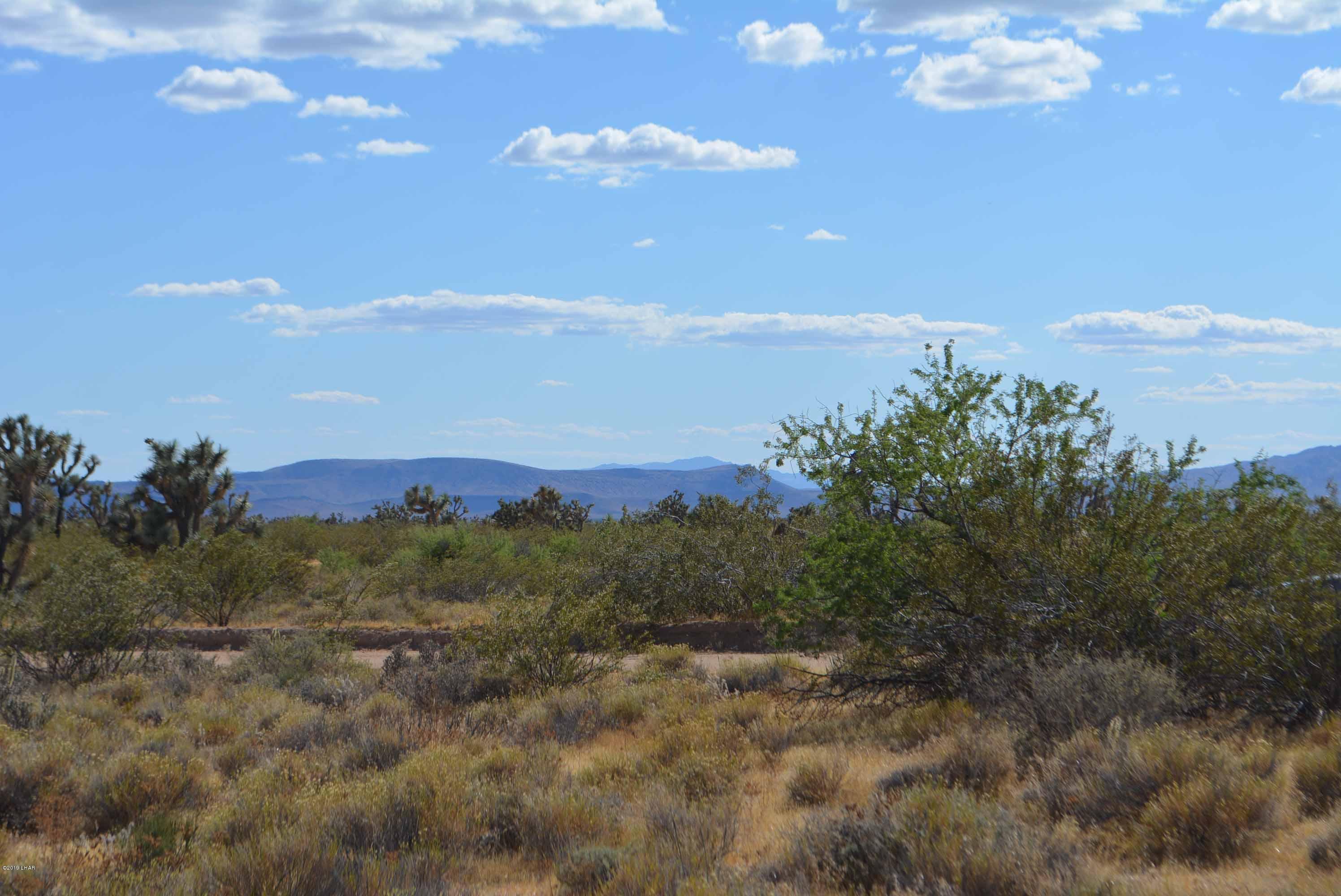 Lot 248 South Gold Mine Road Yucca, AZ 86438 - Photo 10 of 24 DSC_0011
