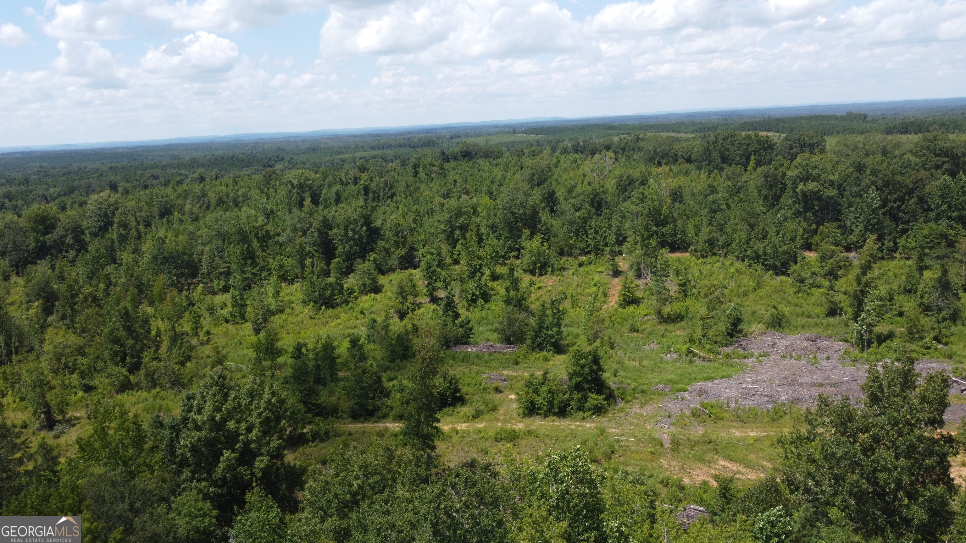 0 None Junction City, GA 31812 - Photo 11 of 12 a view of a green field with lots of bushes