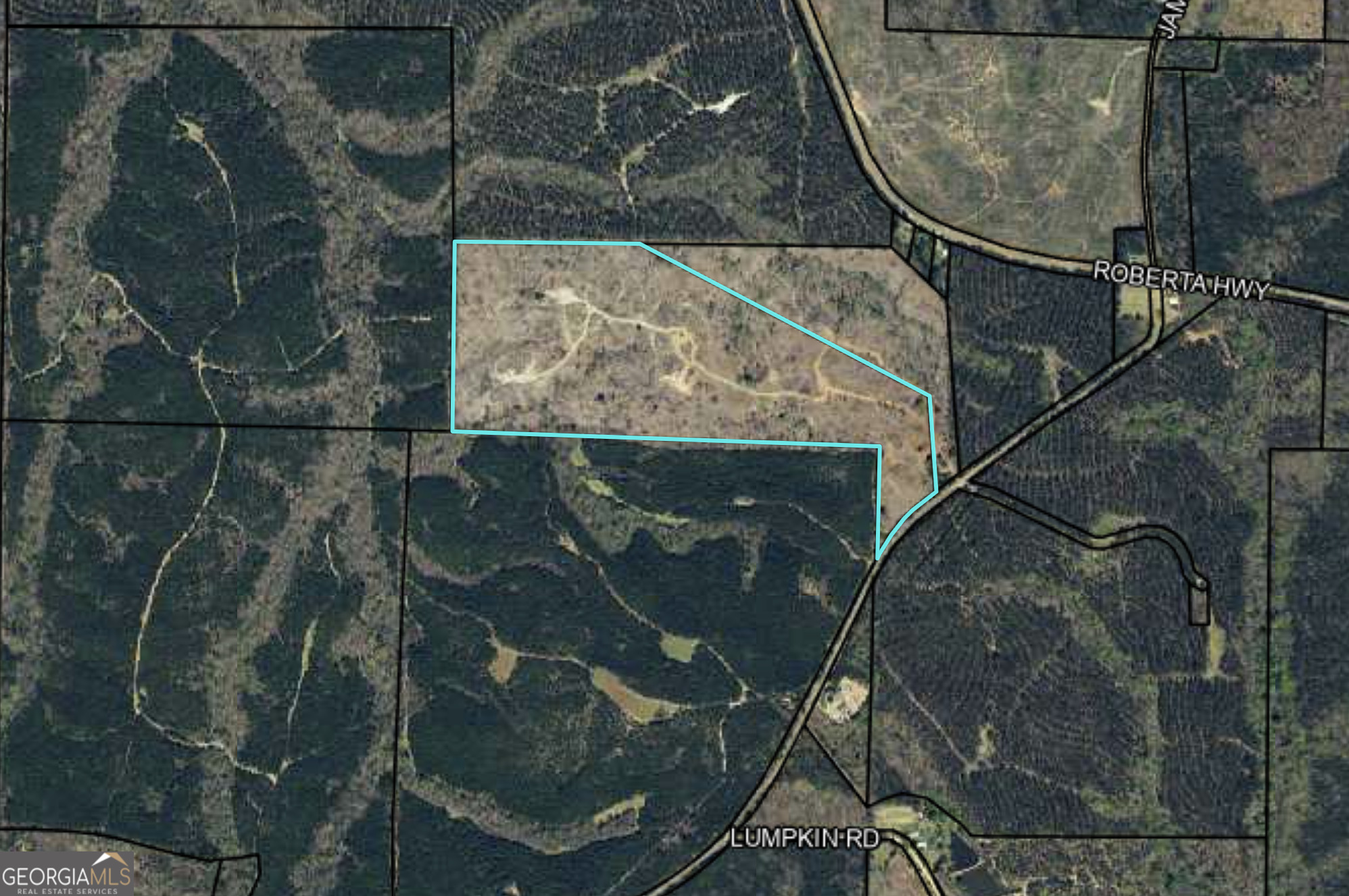 0 None Junction City, GA 31812 - Photo 12 of 12 an aerial view of residential house