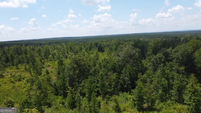 a view of a city and lush green forest