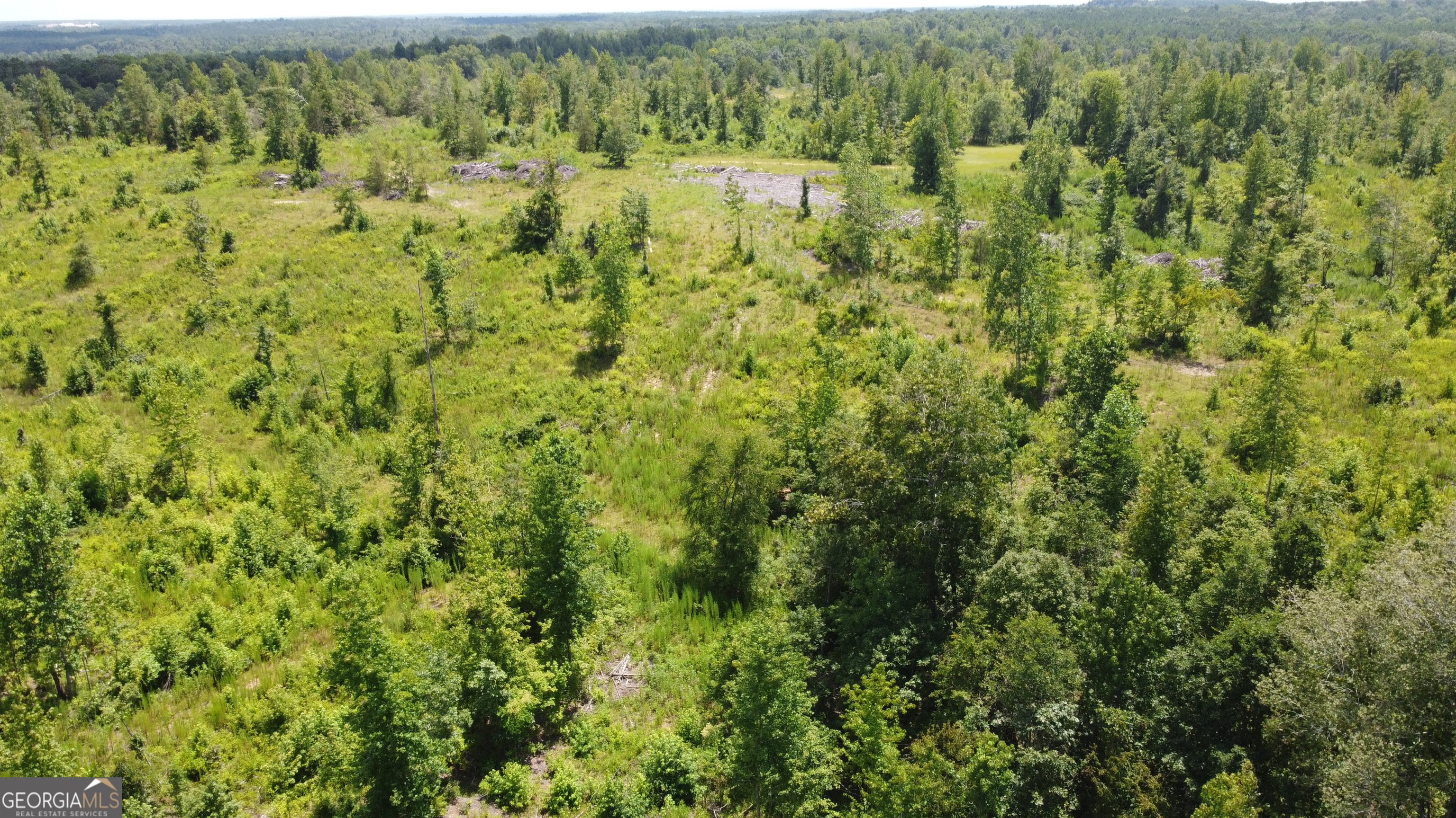 0 None Junction City, GA 31812 - Photo 5 of 12 a view of a lake view
