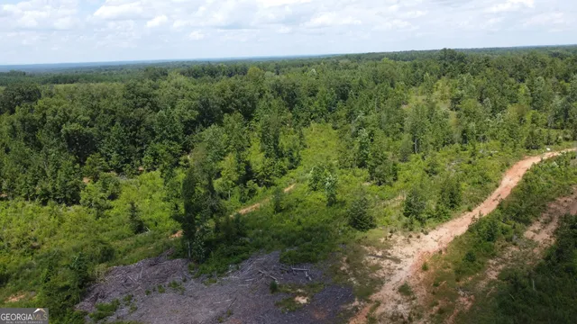 a view of a lush green forest with lots of trees