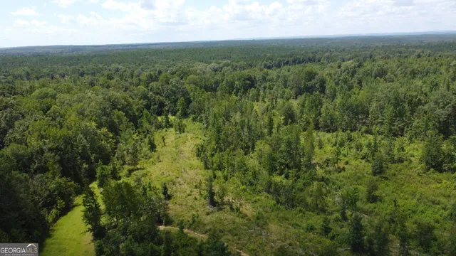 a view of a green field with lots of bushes