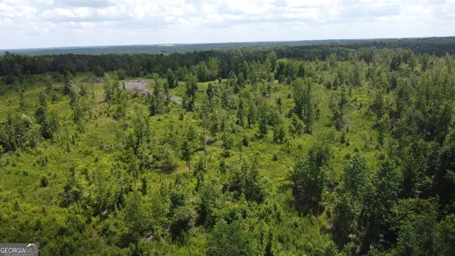 a view of a green field with lots of trees
