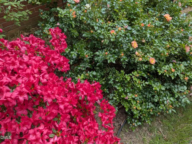 $275,000 | 215 East Branch Street, Spring Hope, NC 27882